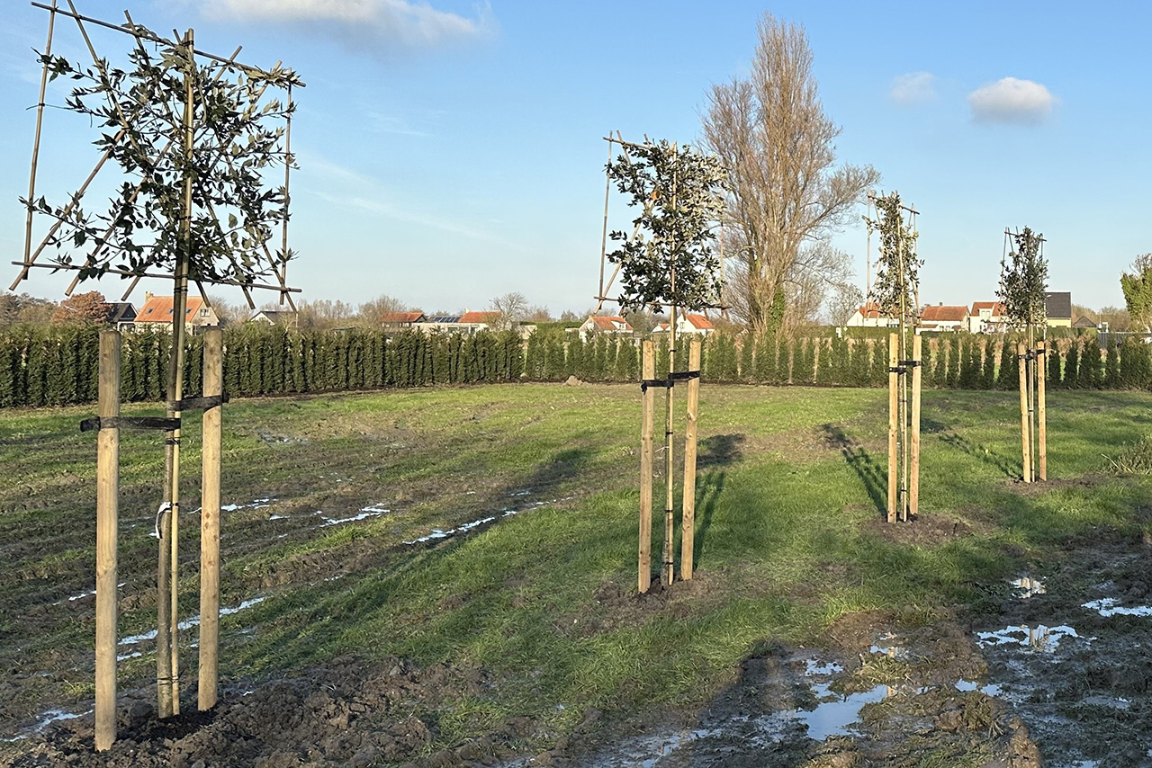 BellaChasa private Sale Seaside luxury 114 BellaChasa private Sale Seaside luxury 114